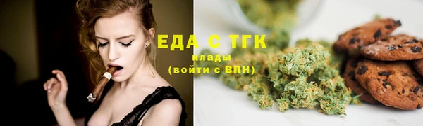 тгк Алзамай