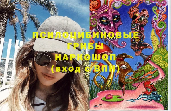 тгк Алзамай