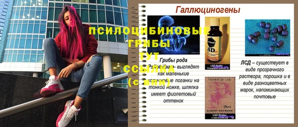 тгк Алзамай