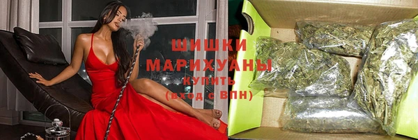 дживик Абаза